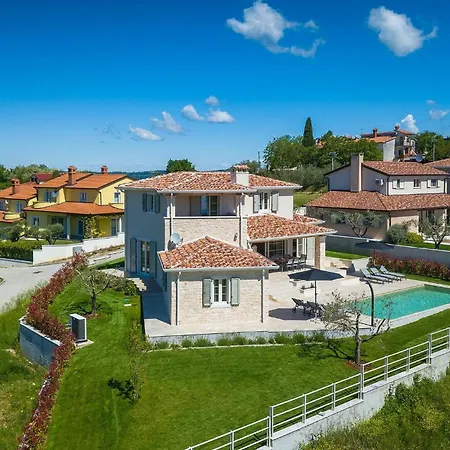 Ulivo * Vizinada